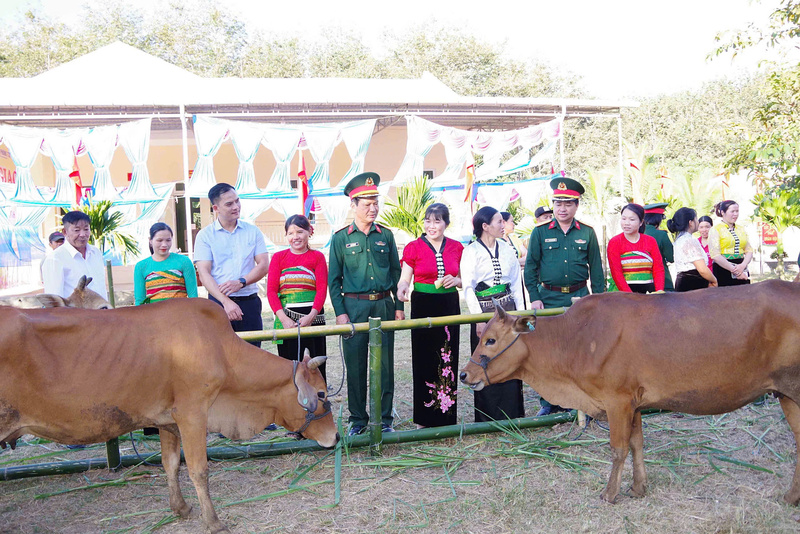 Tại xã Sa Loong và xã Rờ Kơi, đơn vị đã bàn giao tổng cộng 49 con bò giống cho 49 hộ gia đình, với tổng kinh phí hơn 1,45 tỷ đồng. Ảnh Tuệ Lâm