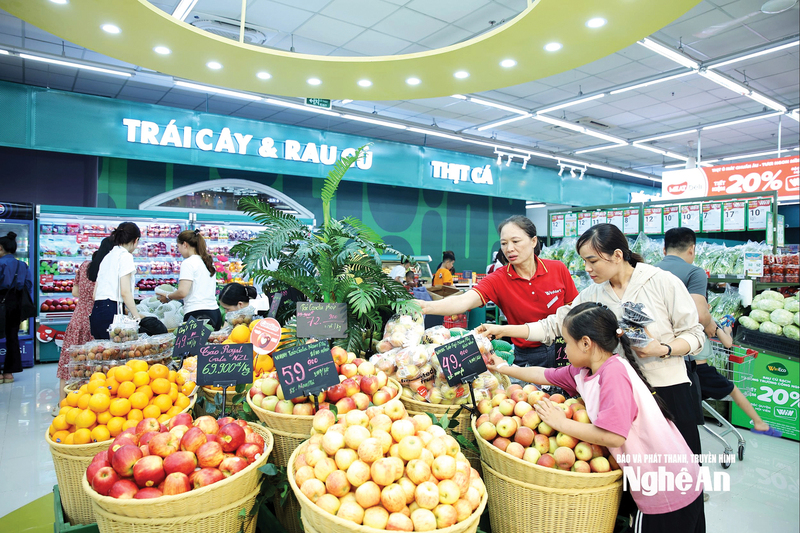 Hệ thống siêu thị, trung tâm thương mại tăng nhanh về số lượng và chất lượng.