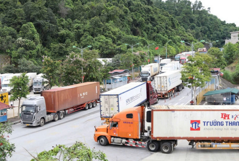 C/O ưu đãi đã và đang mang lại tác động tích cực, rõ nét đối với hoạt động xúc tiến xuất khẩu của doanh nghiệp trên địa bàn tỉnh