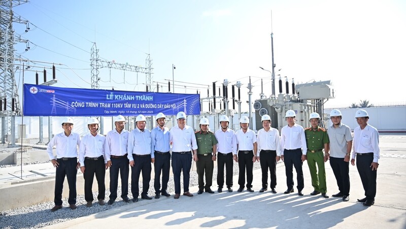 Đại biểu tham dự sự kiện. Ảnh: EVNSPC