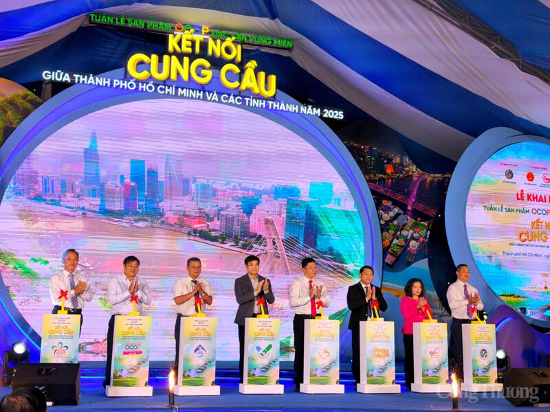 Các đại biểu thực hiện nghi thức khai mạc sự kiện.