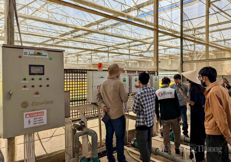 Lâm Đồng được biết đến là địa phương có diện tích nông nghiệp ứng dụng công nghệ cao lớn nhất cả nước. Ảnh: Diễm Thương