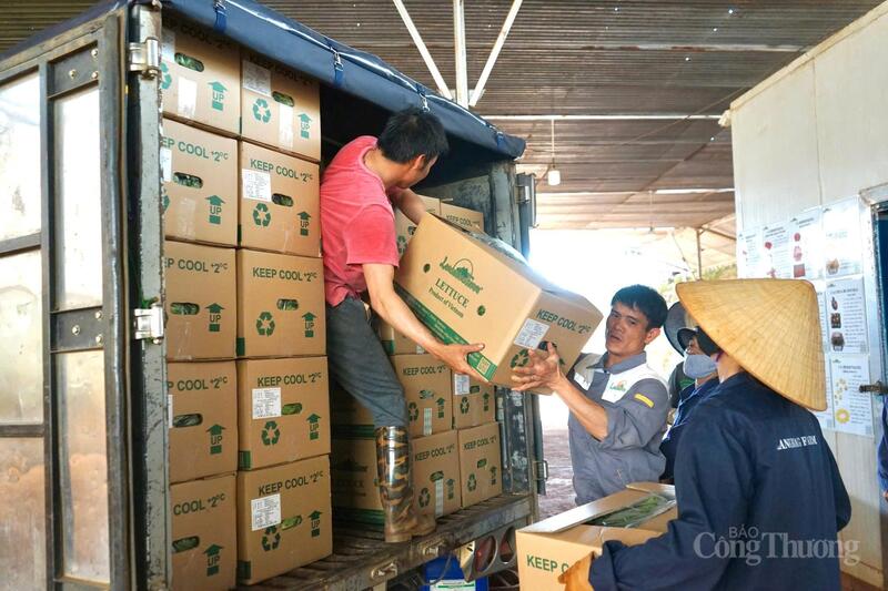 Các sản phẩm sau khi đóng thùng được vận chuyển đến các tiểu thương bằng xe tải. Ảnh: Diễm Thương