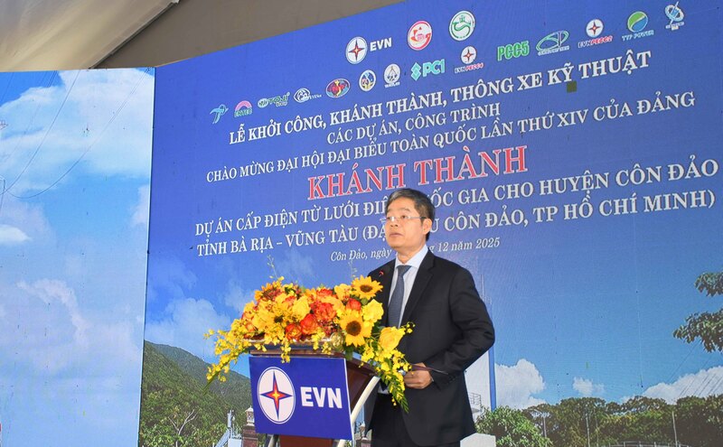 Ông Nguyễn Tài Anh - Phó Tổng giám đốc EVN. Ảnh: Minh Khuê