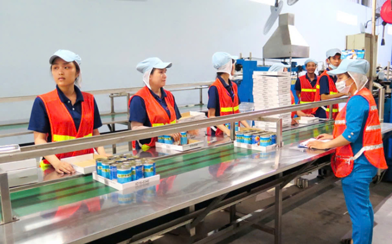 Xuất xứ hàng hóa đang trở thành yếu tố then chốt, quyết định khả năng tận dụng FTA và nâng cao giá trị xuất khẩu của ngành dừa Việt Nam. Ảnh: NVCC