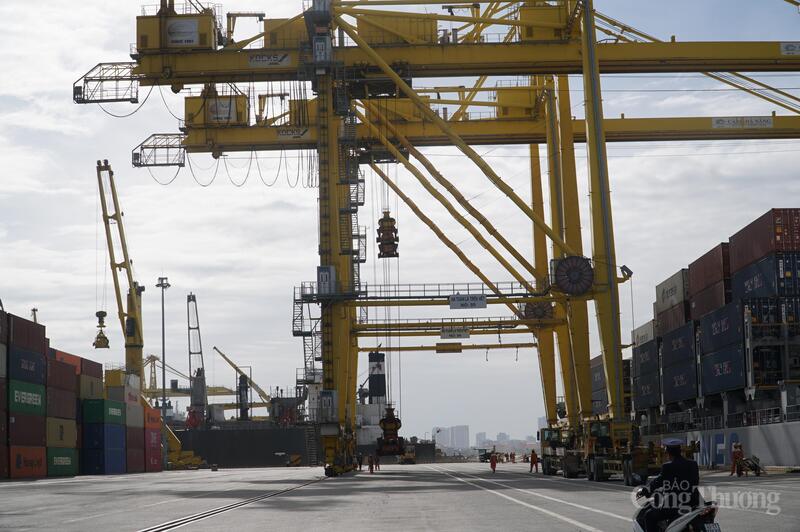 TP. Đà Nẵng định hướng đẩy mạnh phát triển dịch vụ logistics xanh