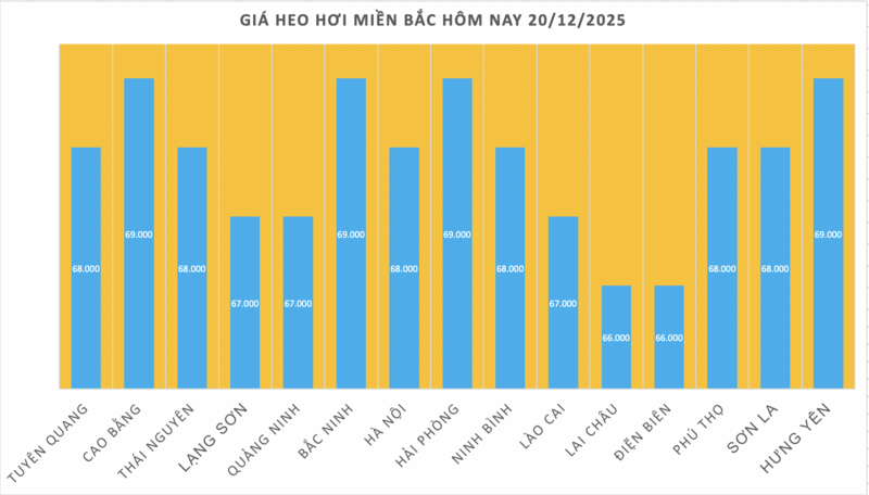 Giá heo hơi hôm nay 20/12/2025: Tiếp đà tăng, cao nhất 69.000 đồng/kg - 1