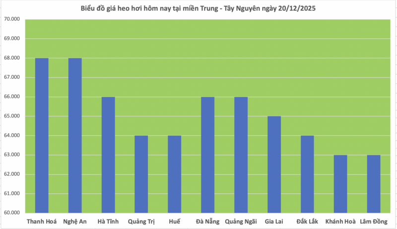 Giá heo hơi hôm nay 20/12/2025: Tiếp đà tăng, cao nhất 69.000 đồng/kg - 2