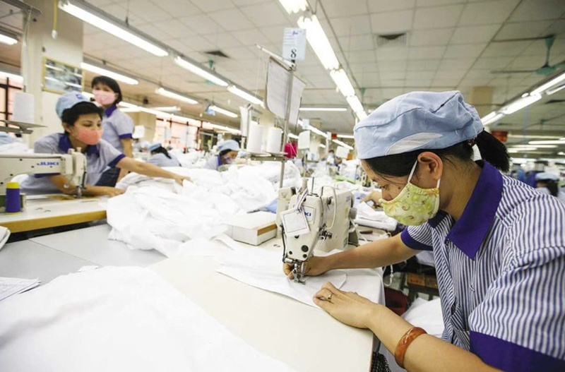 Việc làm chủ C/O không chỉ giúp tận dụng ưu đãi thuế, mà còn hỗ trợ xây dựng chiến lược thị trường dài hạn. Ảnh: Đức Thanh