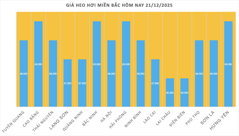 Giá heo hơi hôm nay 21/12/2025: Neo đỉnh 69.000 đồng/kg - 1