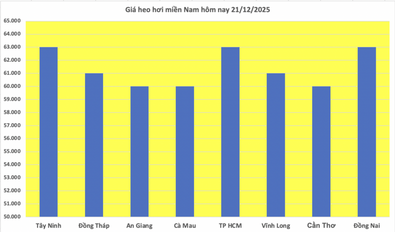 Giá heo hơi hôm nay 21/12/2025: Neo đỉnh 69.000 đồng/kg - 3
