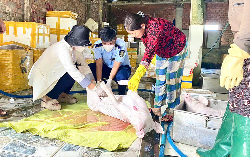 Có 970 con lợn đã giết mổ, được bảo quản trong container đông lạnh, với tổng khối lượng 15.070kg. Ảnh: Tuệ Lâm