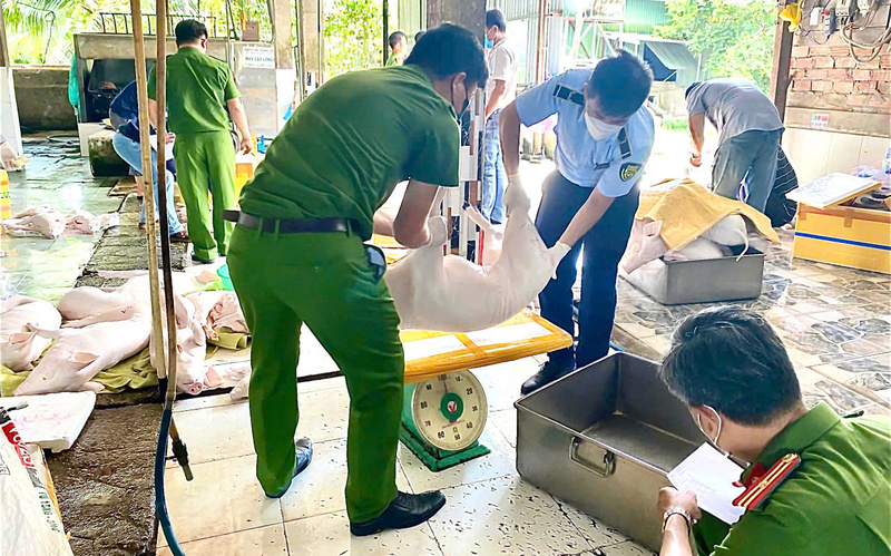 Đội QLTT số 3, Chi Cục QLTT tỉnh Quảng Ngãi phối hợp với Công an tỉnh phát hiện hơn 15 tấn thịt lợn bị nhiễm khuẩn dịch tả châu Phi. Ảnh: Tuệ Lâm