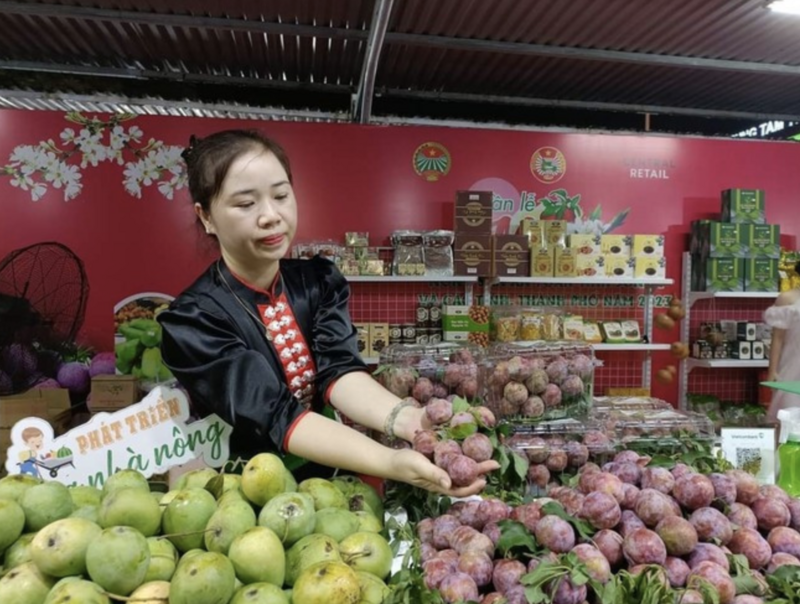 Hội chợ “Made in Vietnam” góp phần quảng bá các mặt hàng nông sản. Ảnh minh họa: TTXVN