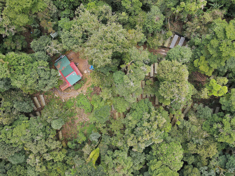 Dưới chân dãy núi Ngọc Linh, người đồng bào Xơ Đăng lựa chọn cộng sinh với những cánh rừng già. Ảnh: Nguyễn Dương