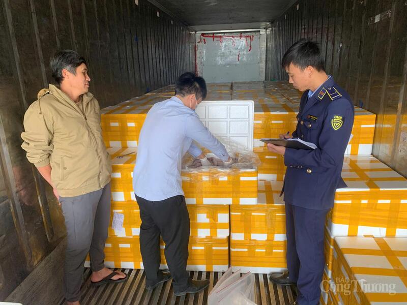 Lực lượng chức năng kiểm tra số cá khoai sử dụng chất cấm trong quá trình vận chuyển