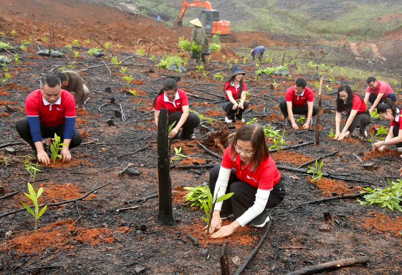 670.800 cây keo giống đến với các hộ dân tại xã Kỳ Hoa, tỉnh Hà Tĩnh nhằm phục hồi hệ sinh thái rừng bị tàn phá nghiêm trọng bởi cơn bão Bualoi, đồng thời tạo sinh kế bền vững cho người dân địa phương