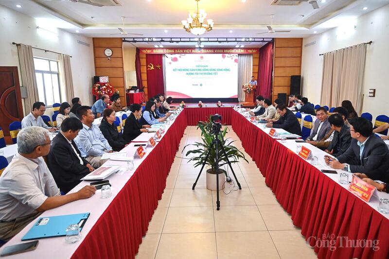 Các đại biểu tham dự diễn đàn.