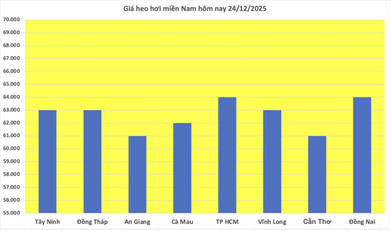 Giá heo hơi hôm nay 24/12/2025: Tăng đồng loạt, lập đỉnh mới - 3