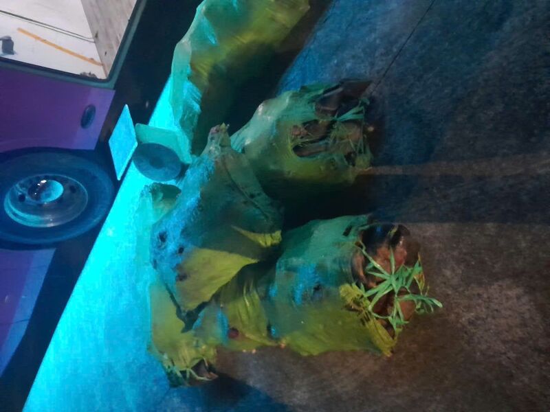 Số thịt bò hư hỏng không rõ nguồn gốc vừa được lực lượng chức năng tỉnh Đắk Lắk phát hiện. Ảnh: Khương Duy