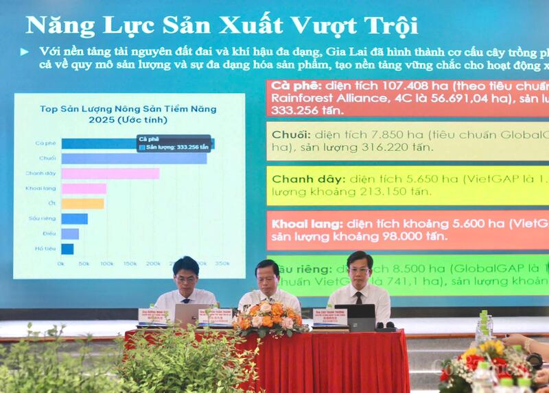 Nông sản Gia Lai có tiềm năng rất lớn, địa phương đã chủ động tổ chức nhiều hoạt động xúc tiến thương mại chuyên sâu. Ảnh: Hiền Mai