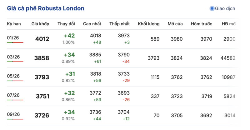 Giá cà phê hôm nay 26/12/2025: Đồng loạt tăng - 1