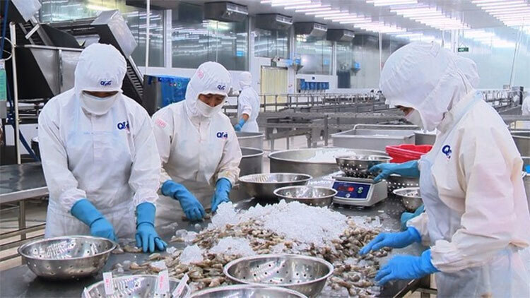 Điều 4 của Nghị định 320/2025/NĐ-CP đã cụ thể hóa các ưu đãi về thu nhập được miễn thuế đối với ngành thủy sản.