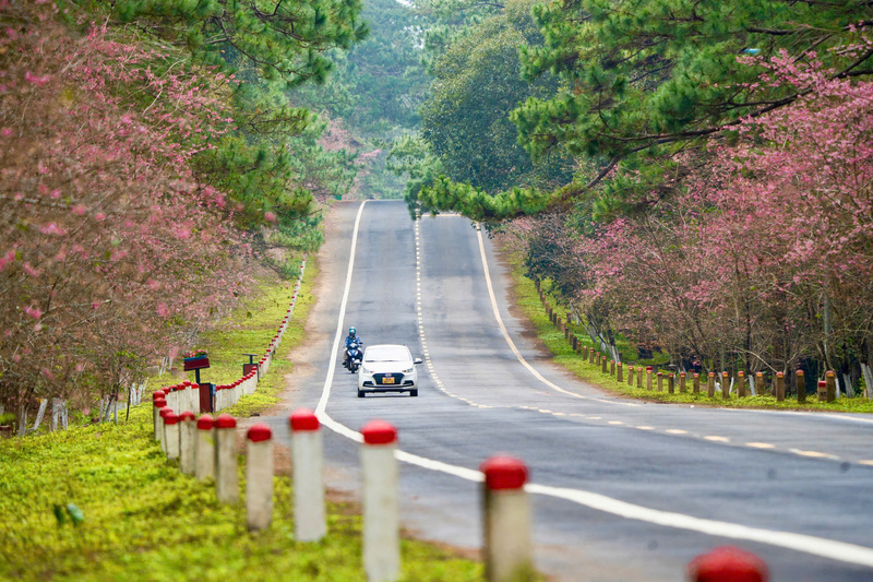 Tỉnh Quảng Ngãi chính thức khai mạc Tuần Di sản Văn hóa Quảng Ngãi năm 2025. Ảnh: Nguyễn Dương