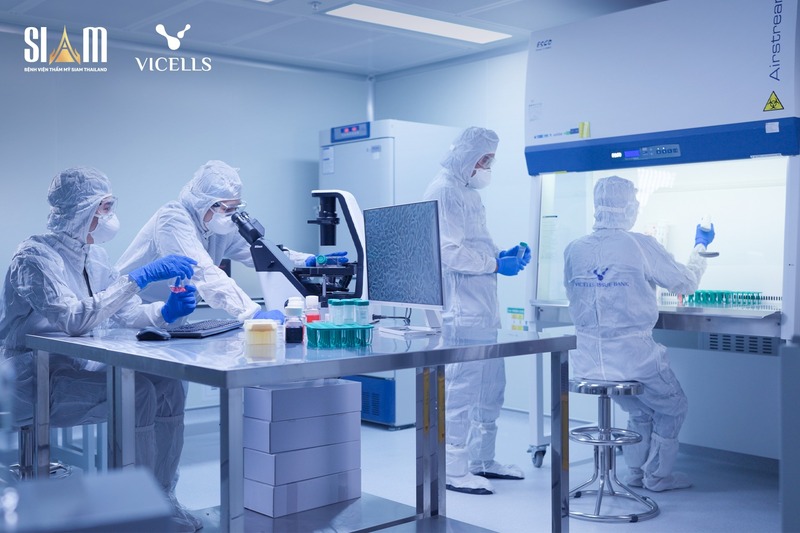 VICELLS sở hữu quy trình lưu trữ đa tế bào gốc với phòng Lab đạt chuẩn ISO 5