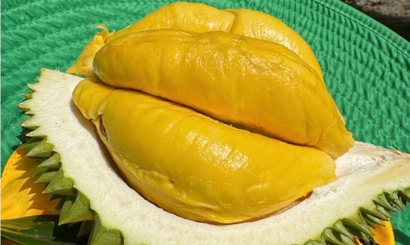 Xuất khẩu của Việt Nam sang Đài Loan (Trung Quốc) có tháng thứ 6 tăng liên tiếp và là tháng thứ 8 kể từ đầu năm đến nay kim ngạch đạt trên 1 tỷ USD/tháng. Ảnh minh hoạ