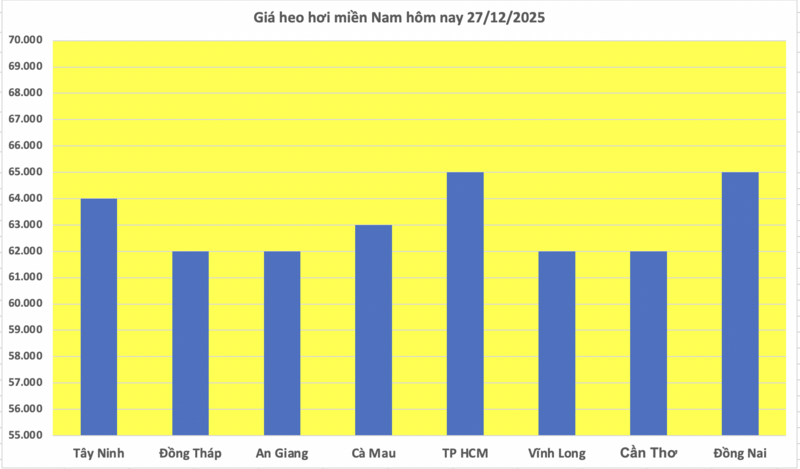 Giá heo hơi hôm nay 27/12/2025: Giảm nhiều nơi  - 3