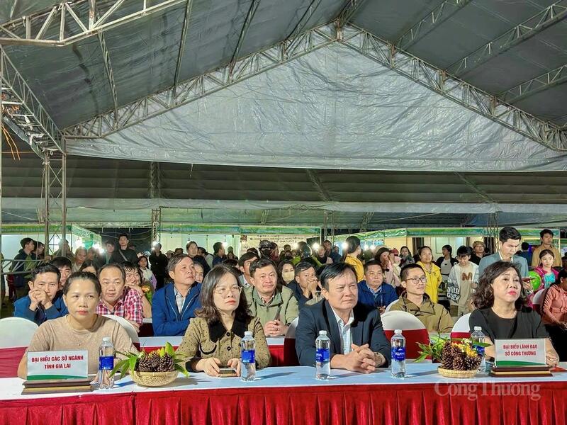 Các đại biểu tham dự lễ khai mạc.