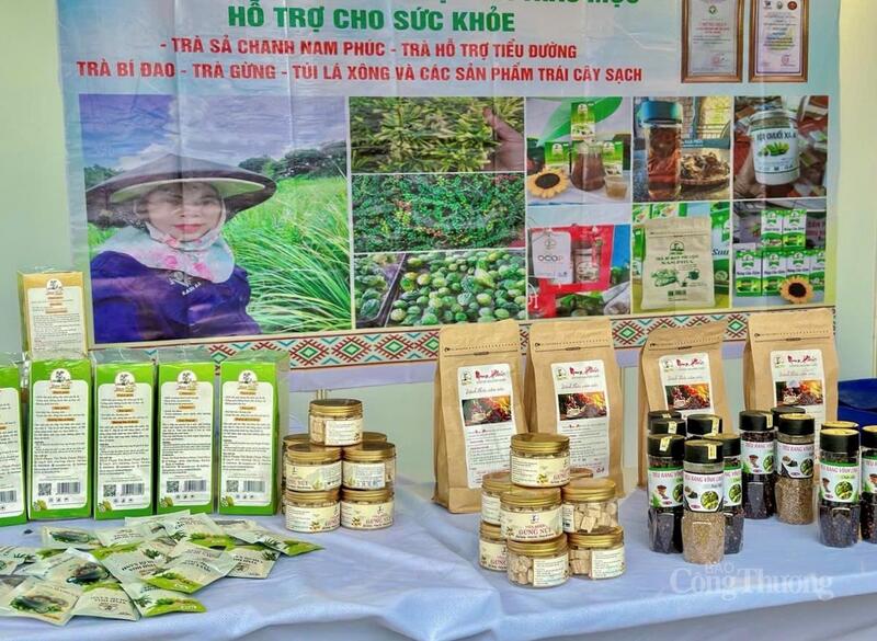 Đánh thức tiềm năng sản vật vùng đồng bào dân tộc thiểu số ở Gia Lai - 13