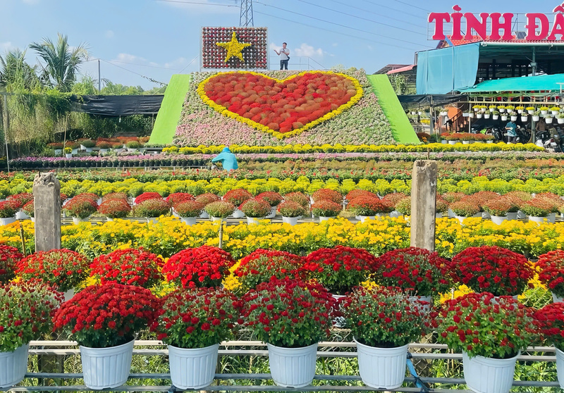 Festival Hoa - kiểng Sa Đéc lần thứ 2 diễn ra từ ngày 27/12 đến ngày 4/1/2026 tại phường Sa Đéc, tỉnh Đồng Tháp. Ảnh: Minh Anh.