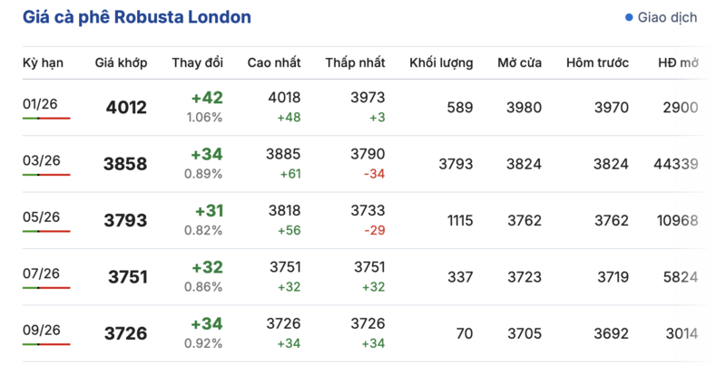 Giá cà phê hôm nay 28/12/2025: Cao nhất 98.000 đồng/kg - 1