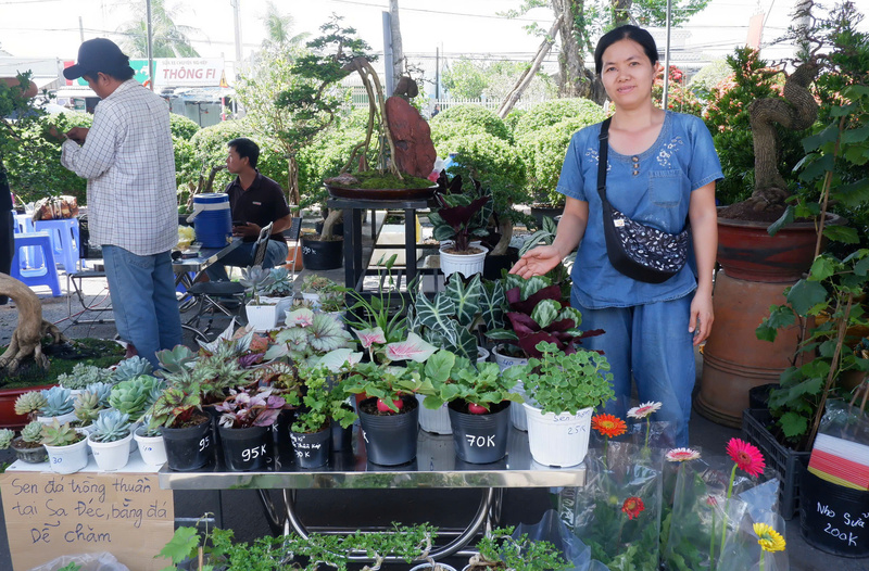 Chị Trần Mai Thanh - đại diện vựa kiểng Trần Thanh (xã Tân Dương, tỉnh Đồng Tháp). Ảnh: Minh Anh.