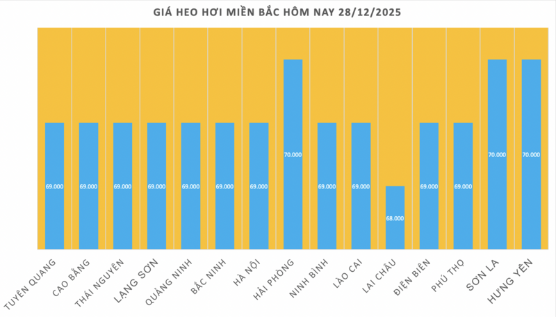 Giá heo hơi hôm nay 28/12/2025: Đi ngang - 1