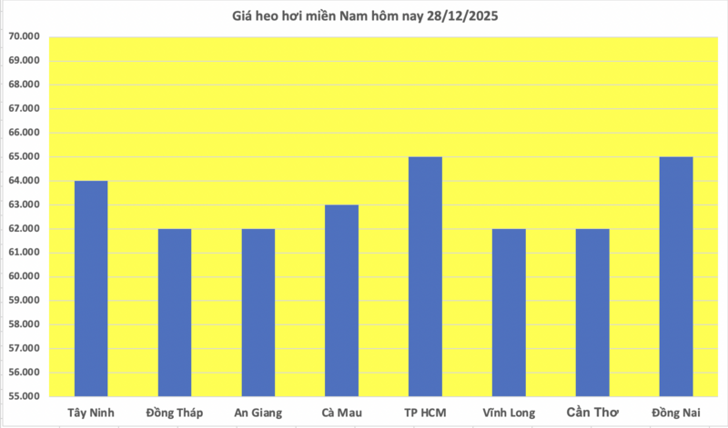 Giá heo hơi hôm nay 28/12/2025: Đi ngang - 3