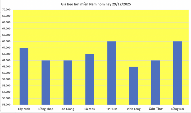 Giá heo hơi hôm nay 29/12/2025: Giảm rải rác tại miền Bắc và miền Nam - 3