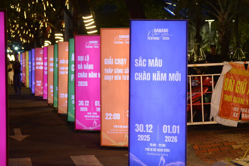 Không gian nhận diện đại lộ được đầu tư thiết kế, tạo điểm nhấn cho tuyến phố đi bộ Bạch Đằng. Ảnh: Ngọc Thảo