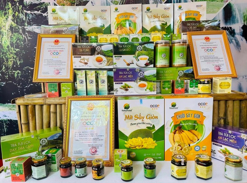 Nghệ An là tỉnh đứng top đầu cả nước về số lượng sản phẩm đạt hạng sao được công nhận. Ảnh: Thái Quảng