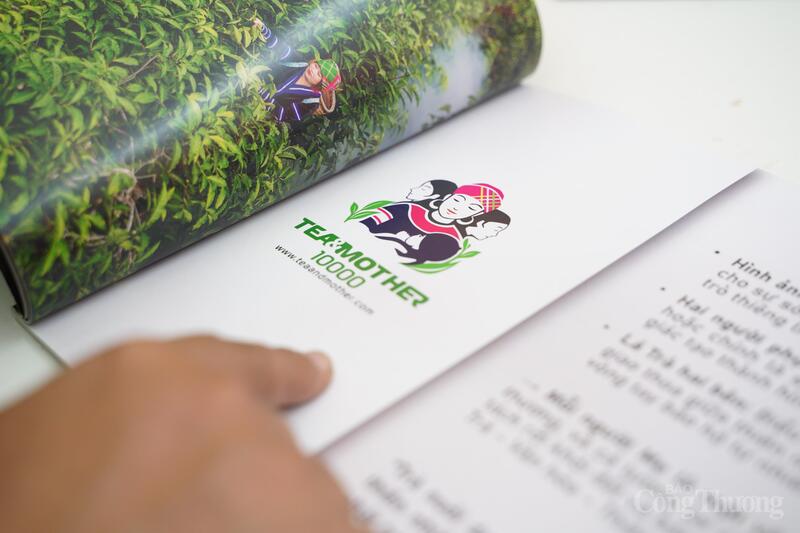 Dự án Tea and Mother tập trung vào việc tạo sinh kế bền vững. Ảnh: Thái Mạnh