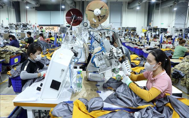 Các doanh nghiệp trên địa bàn tỉnh Quảng Ngãi đang nỗ lực để thích ứng, kỳ vọng năm 2026 sẽ có sự bứt phá mạnh mẽ. Ảnh: Tuệ Lâm