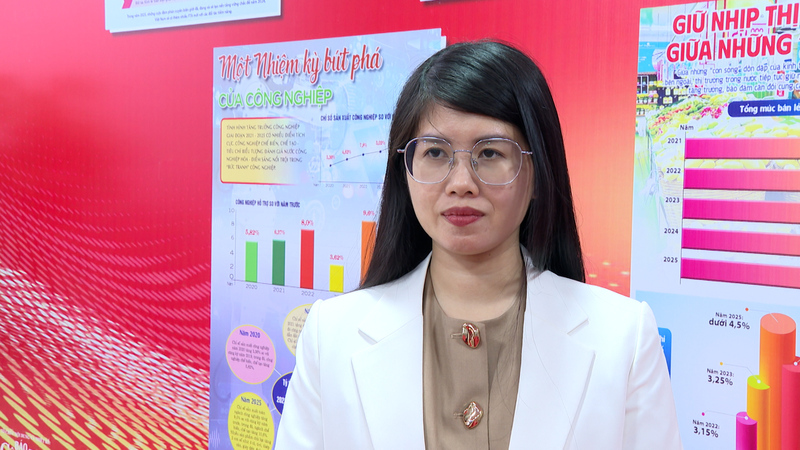 Tham tán Thương mại Phạm Hồng Trang, Thương vụ Việt Nam tại Brazil.