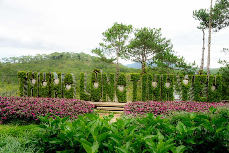 TTC World - Thung lũng tình yêu và TTC World - Tà Cú đã trồng hơn 50.000 cây xanh trong năm 2025, góp phần phủ xanh không gian.