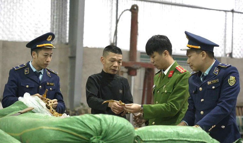 Tăng cường phối hợp giữa các lực lượng trong đấu tranh chống buôn lậu, gian lận thương mại