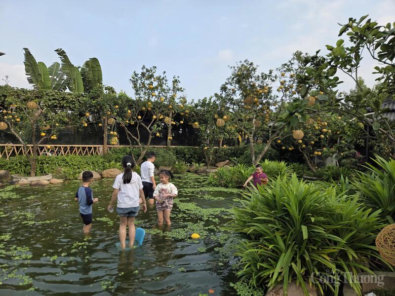 Trẻ em hào hứng tham gia hoạt động bắt cá, lội ao tại mô hình farmstay ở khu vực ngoại thành Hà Nội, một lựa chọn được nhiều gia đình ưu tiên trong kỳ nghỉ ngắn ngày.