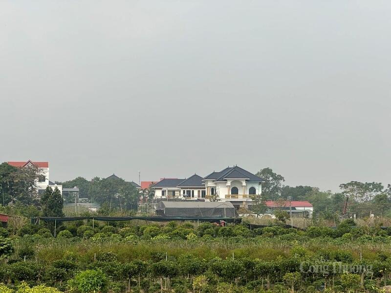 Diện mạo xã Sông Lô (tỉnh Phú Thọ) đổi thay nhờ nghề trồng hoa, cây cảnh.