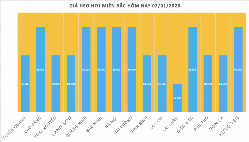 Giá heo hơi hôm nay 2/01/2026: Thị trường ảm đạm - 1