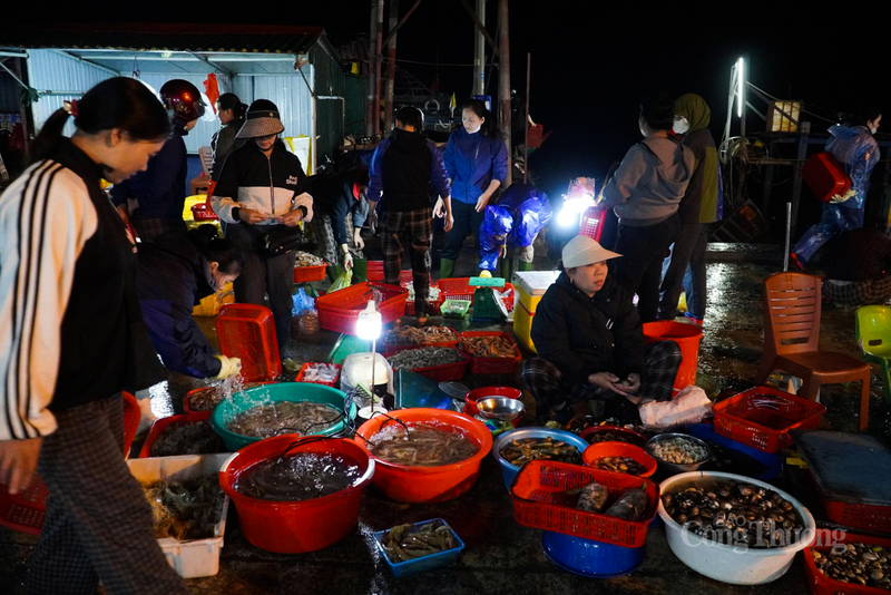 Không chỉ ngư dân vui mừng, các tiểu thương thu mua tại cảng cũng tất bật không kém để kịp đưa hải sản tươi sống đến chợ đầu mối và cơ sở chế biến.